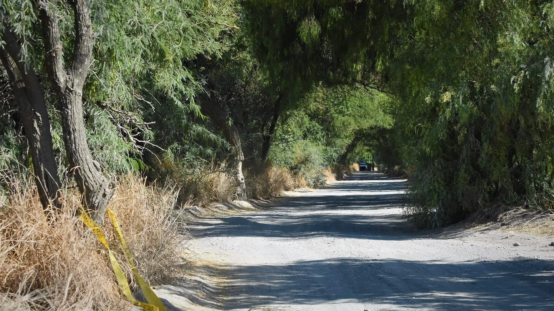 muerto camino a la Purisima  (1)